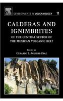Calderas and Ignimbrites of the Central Sector of the Mexican Volcanic Belt