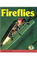Fireflies