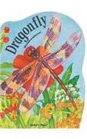 Metamorphoses: Giant Dragonfly