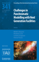 Challenges in Panchromatic Modelling with Next Generation Facilities (IAU S341): (Proceedings of the International Astronomical Union Symposia and Colloquia)