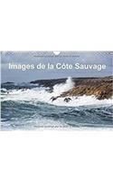 Images De La Cote Sauvage 2017