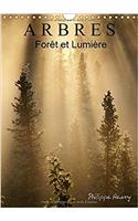Arbres. Foret Et Lumiere 2018: Des Arbres Dans Toute Leur Beaute.(Calvendo Nature)