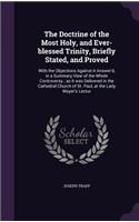 The Doctrine of the Most Holy, and Ever-blessed Trinity, Briefly Stated, and Proved: With the Objections Against it Answer'd, in a Summary View of the Whole Controversy; as it was Delivered in the Cathedral Church of St. Paul, at the(English)