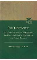 The Greyhound - A Treatise On The Art Of Breeding, Rearing, And Training Greyhounds For Public Running - Their Diseases And Treatment. Containing Also The National Rules For The Management Of Coursing Meetings And For The Decision Of Courses - Also