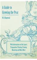 Guide to Growing the Pear with Information on Soil, Aspect, Propagation, Planting, Pruning, Manuring and Much More