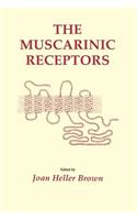 The Muscarinic Receptors