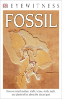 Eyewitness Fossil: (DK Eyewitness)