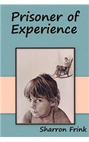 Prisoner of Experience