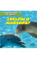 ¿Delfín O Marsopa? (Dolphin or Porpoise?)