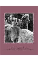 Angora Goat
