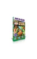 All Aboard for Reading: (Dinosaur Train)