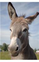 A Curious Donkey Checking You Out Journal: 150 Page Lined Notebook/Diary
