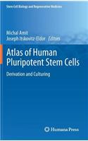 Atlas of Human Pluripotent Stem Cells