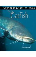 Catfish