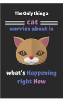 The only thing a cat worries about is what's happening right now: Cute Cat journal, cat journal to write in, cat notebook and journal-120 pages(6"x9") Matte Cover Finish