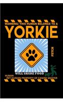 Yorkie