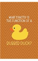 What Exactly Is The Function Of A Rubber Duck?