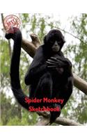 Spider Monkey Sketchbook: (Sketchbooks for Drawing)