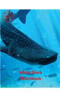 Whale Shark Sketchbook