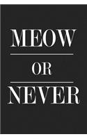 Meow or Never