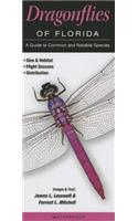 Dragonflies of Florida