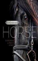 American Horse
