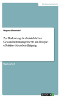 Zur Bedeutung des betrieblichen Gesundheitsmanagements am Beispiel effektiver Stressbewältigung