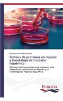 Síntesis de proteínas en hipoxia y Encefalopatía Hipóxico Isquémica