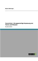 Coevolution - Die gegenseitige Anpassung von Tieren und Pflanzen