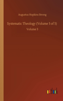 Systematic Theology (Volume 3 of 3): Volume 3