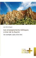 Les Enseignements Bibliques À Tirer de la Fourmi