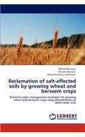 Reclamation of Salt-Affected Soils by Growing Wheat and Berseem Crops