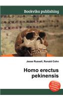 Homo Erectus Pekinensis