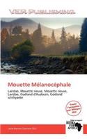 Mouette M Lanoc Phale: (French)