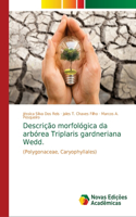 Descrição morfológica da arbórea Triplaris gardneriana Wedd