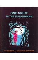 One Night In The Sunderbans