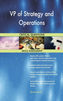 VP of Strategy and Operations Critical Questions Skills Assessment