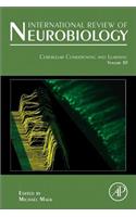 Cerebellar Conditioning and Learning