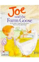 Joe and the Farm Goose