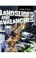 Landslides and Avalanches