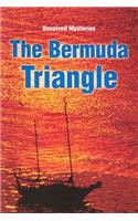 Steck-Vaughn Unsolved Mysteries: Student Reader Bermuda Triangle, the , Story Book