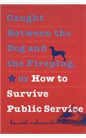 Caught Between the Dog and the Fireplug, or How to Survive Public Service