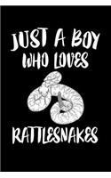 Just A Boy Who Loves Rattlesnake: Animal Nature Collection