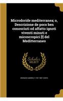 Microdoride mediterranea; o, Descrizione de poco ben conosciuti od affatto ignoti viventi minuti e micoscropici [!] del Meditterraneo