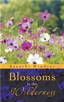 Blossoms in the Wilderness