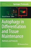 Autophagy in Differentiation and Tissue Maintenance: Methods and Protocols