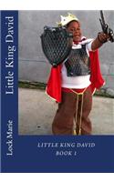Little King David