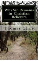 Why Sin Remains in Christian Believers