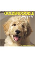 Just Goldendoodle Puppies 2020 Wall Calendar (Dog Breed Calendar)