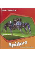 Spiders